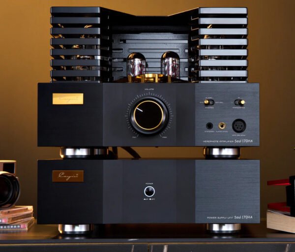Cayin Soul 170 HA - Imagen 13