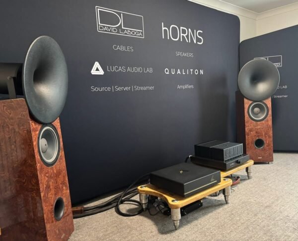hORNS Symphony 10" - Imagen 7