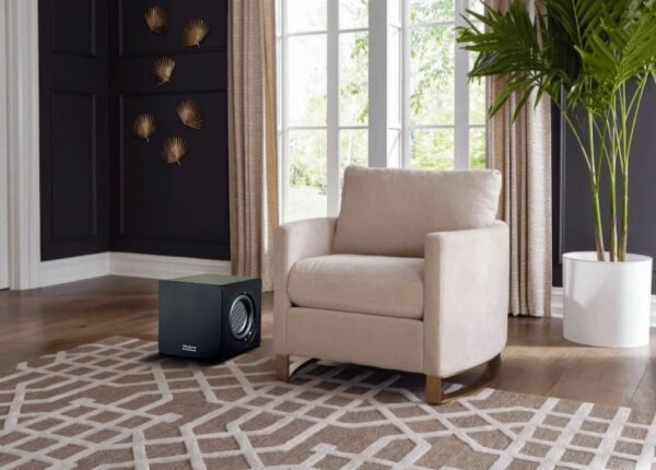 Velodyne Acoustics MiniVee X