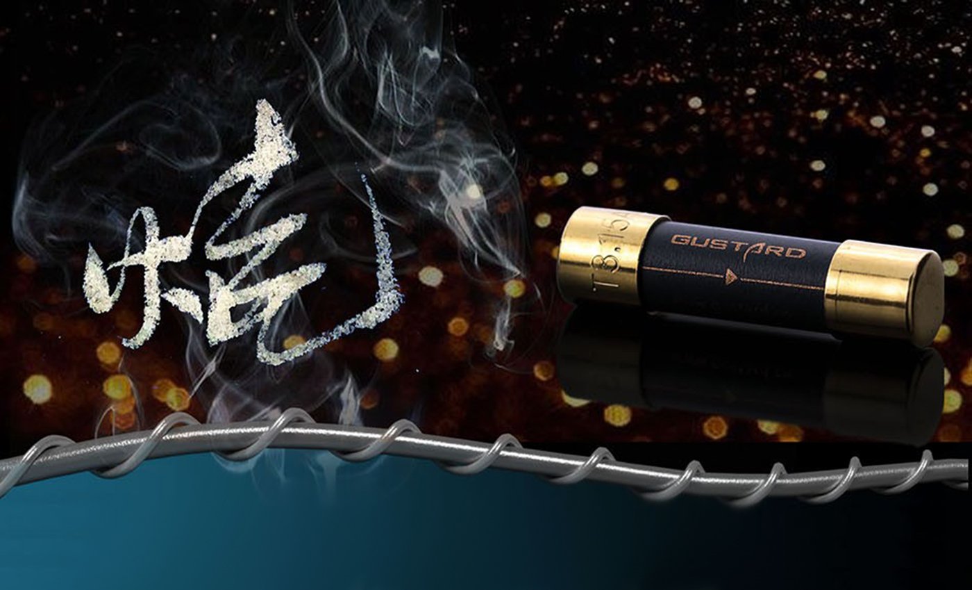 Gustard Fusible Audiophile - Imagen 9