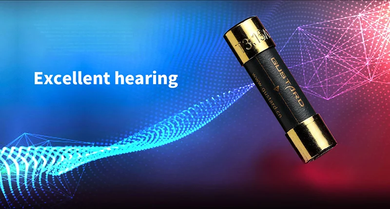 Gustard Fusible Audiophile - Imagen 12