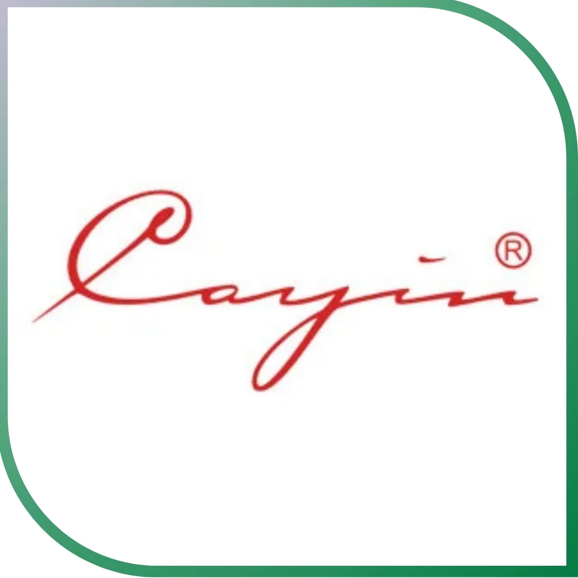 Logo Cayin