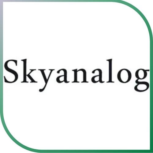 Logo Skyanalog