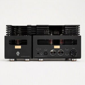 Cayin HA-300 MK3